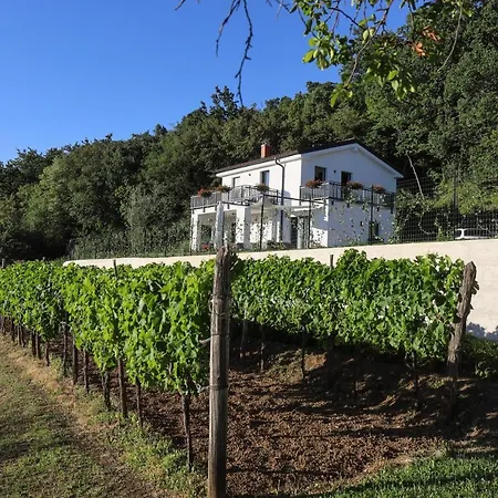 Hisa Dobrega Pocutja *