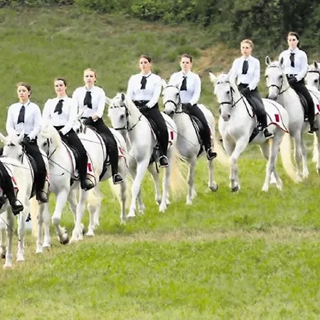Apartma Hisa Dobrega Pocutja