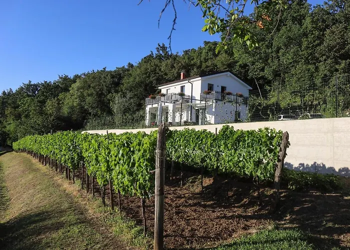 Hisa Dobrega Pocutja *