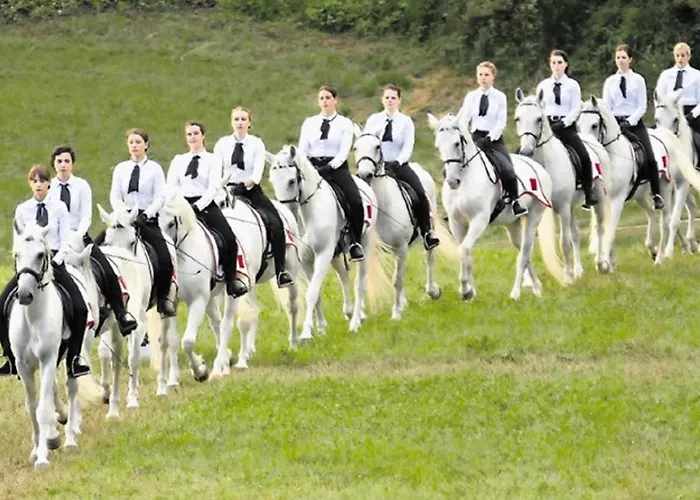 Appartement Hisa Dobrega Pocutja